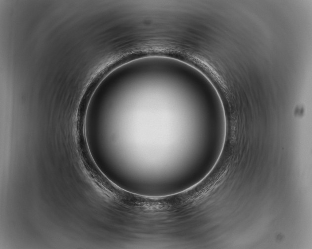 X0000099310439200805021317