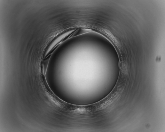 X0000099310441200805021317