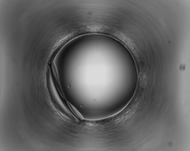 X0000099310442200805021317