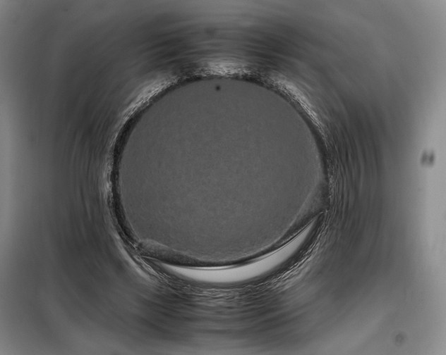 X0000099310443200805021317