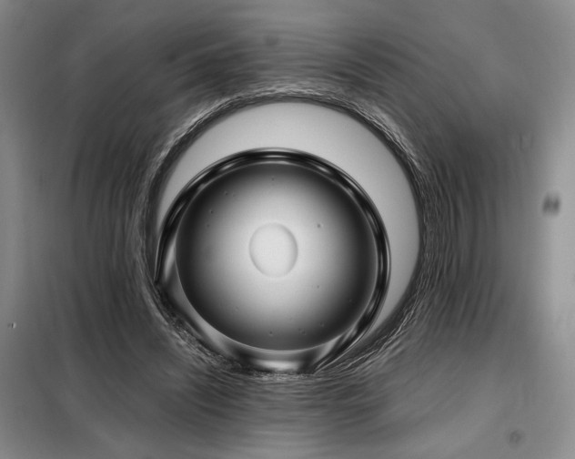 X0000099310444200805021317