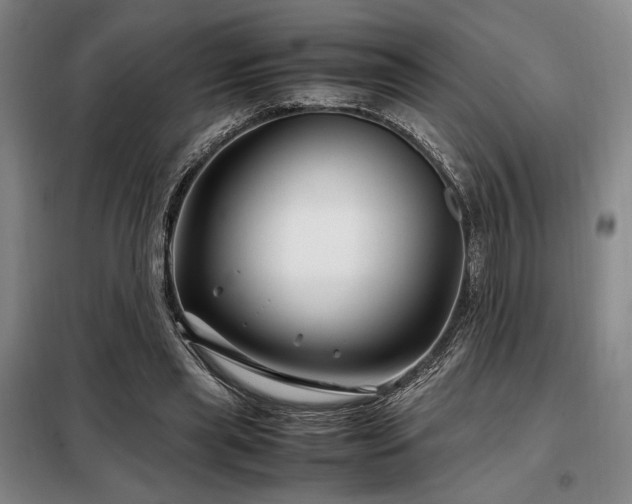 X0000099310445200805021317