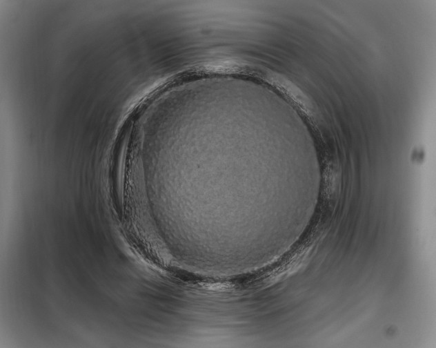 X0000099310446200805021317