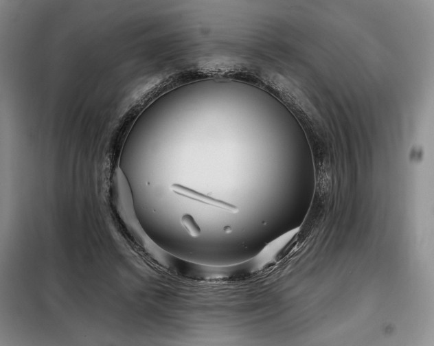 X0000099310448200805021317
