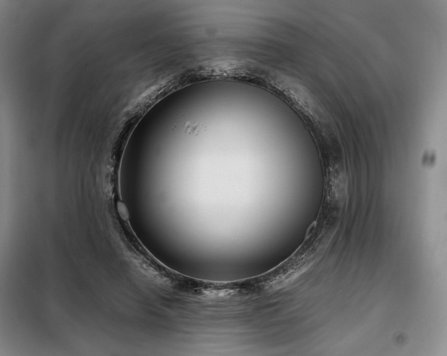 X0000099310450200805021317
