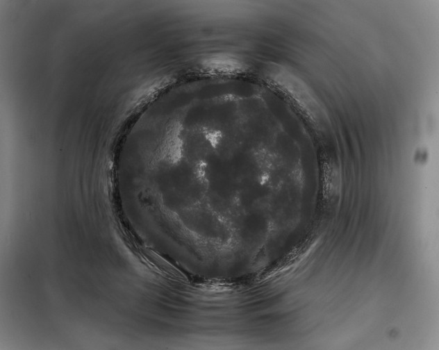 X0000099310451200805021318