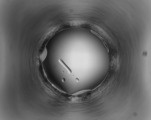 X0000099310452200805021318