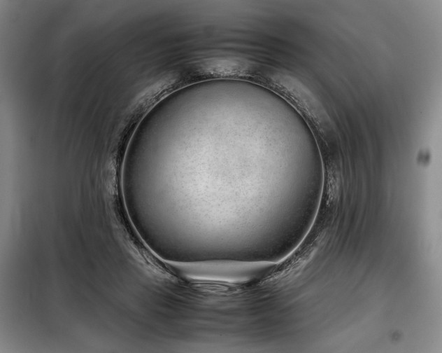 X0000099310453200805021318