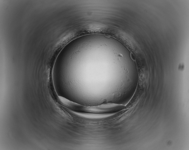 X0000099310454200805021318