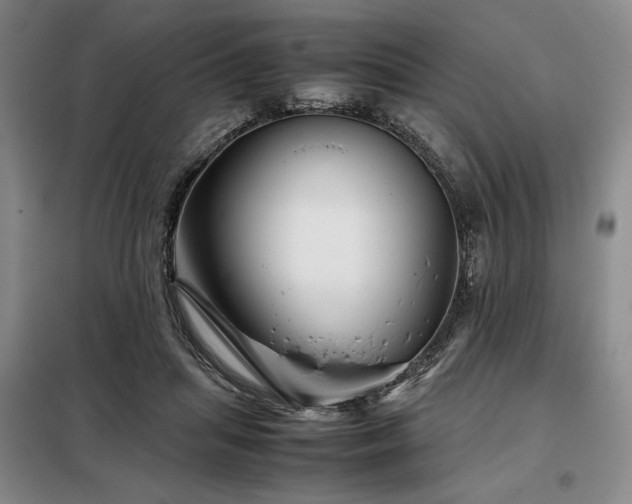 X0000099310455200805021318