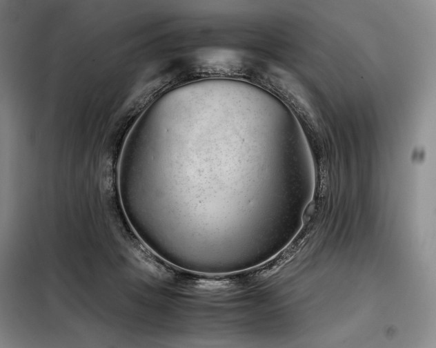 X0000099310457200805021318