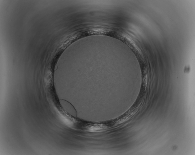 X0000099310459200805021318