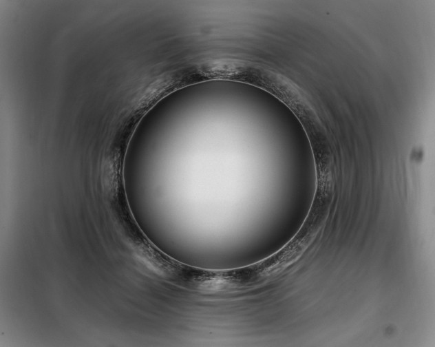 X0000099310460200805021318