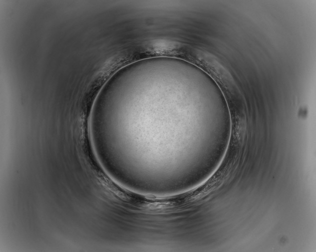 X0000099310461200805021318