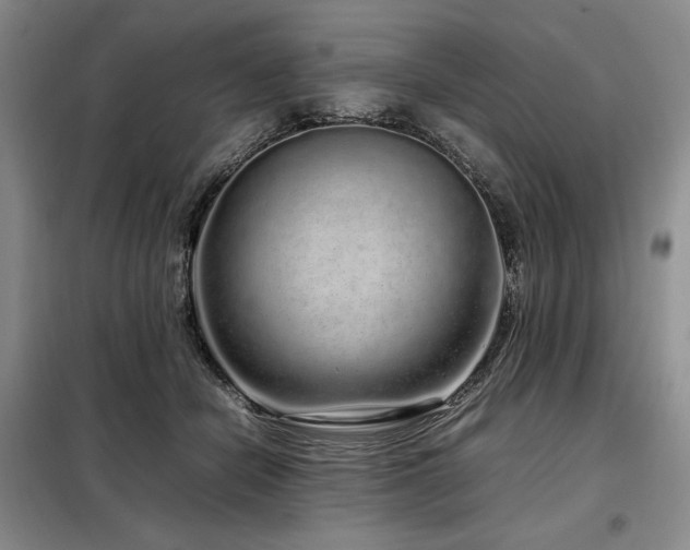 X0000099310462200805021318