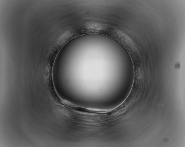 X0000099310463200805021318