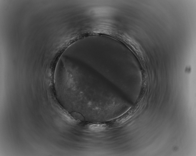 X0000099310465200805021318