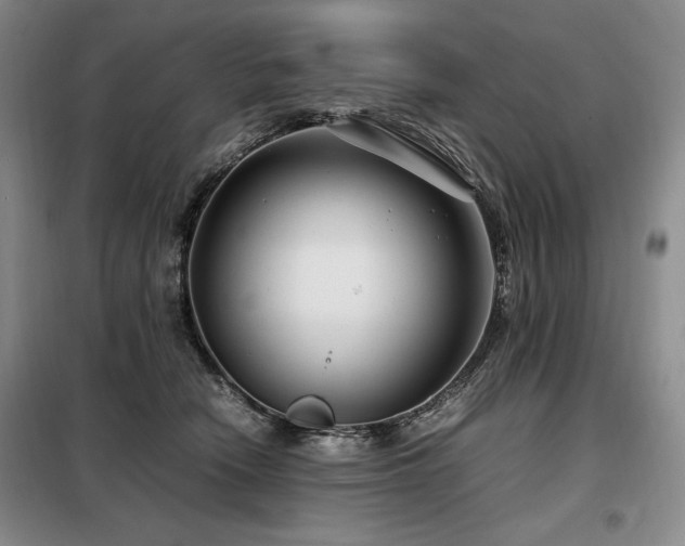 X0000099310466200805021318