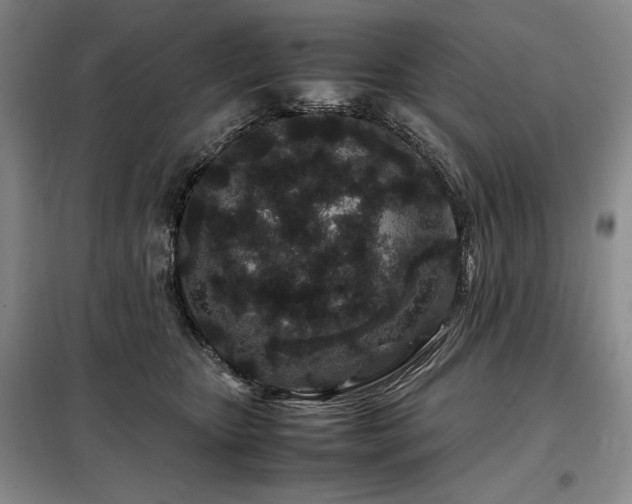 X0000099310467200805021318