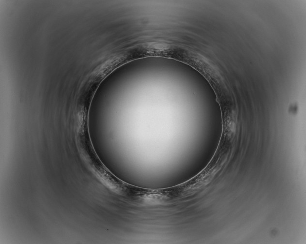 X0000099310468200805021318