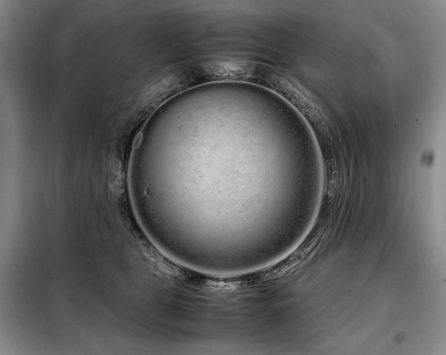 X0000099310469200805021318