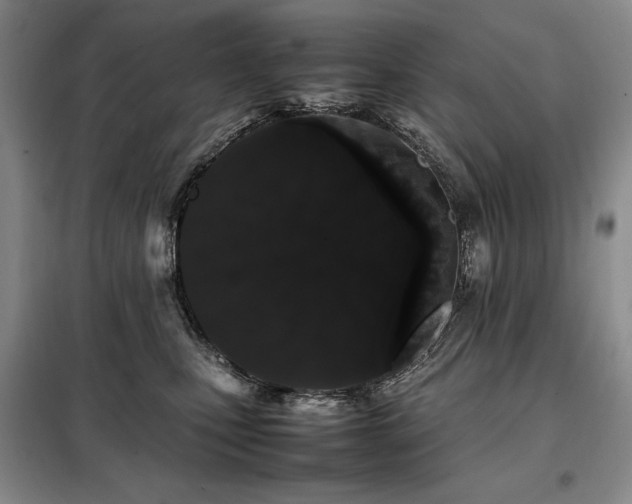 X0000099310471200805021318