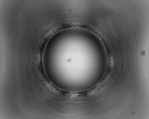X0000099310472200805021318