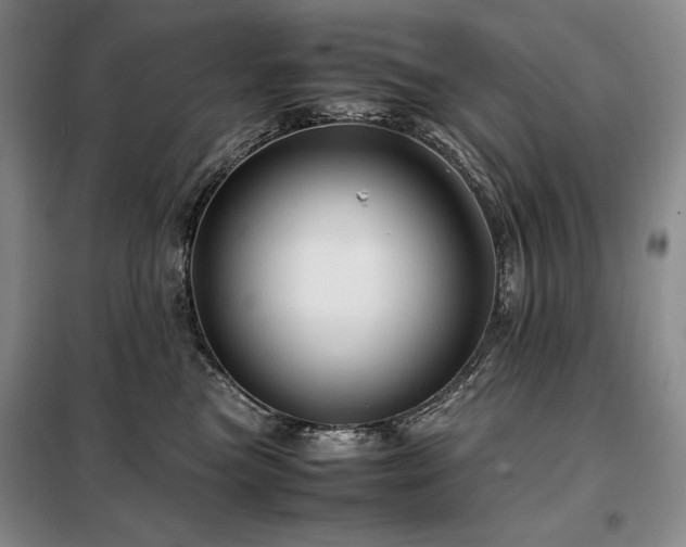 X0000099310473200805021318