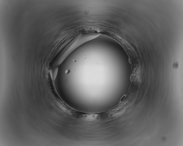 X0000099310474200805021318