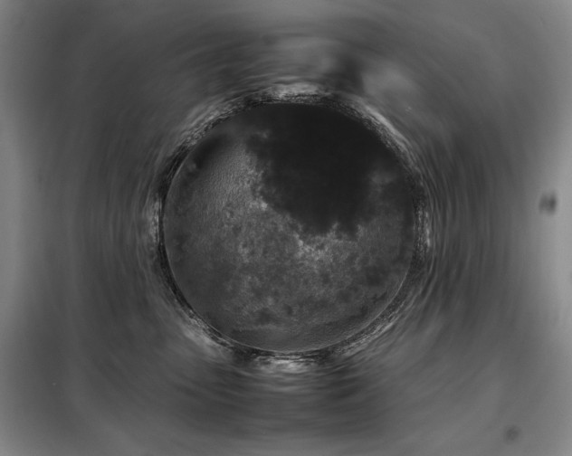 X0000099310475200805021318