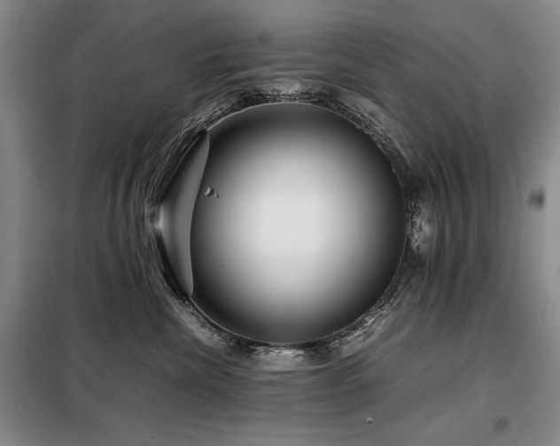 X0000099310476200805021318