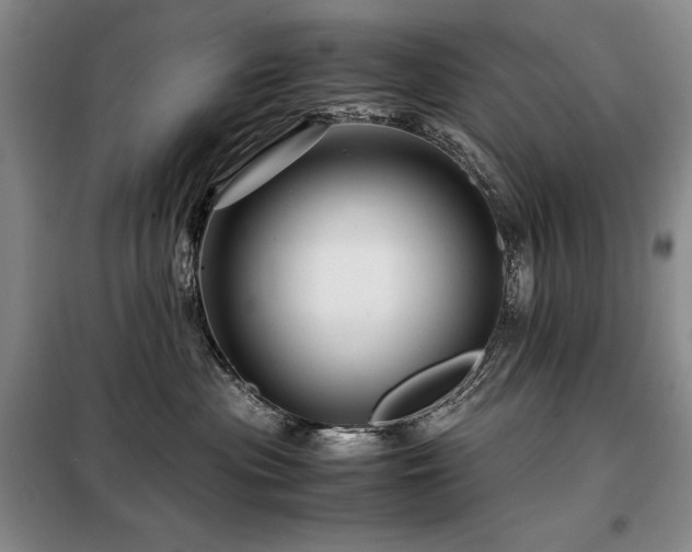 X0000099310477200805021318