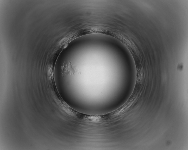 X0000099310478200805021318