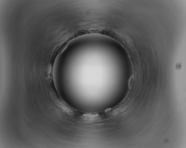 X0000099310480200805021318