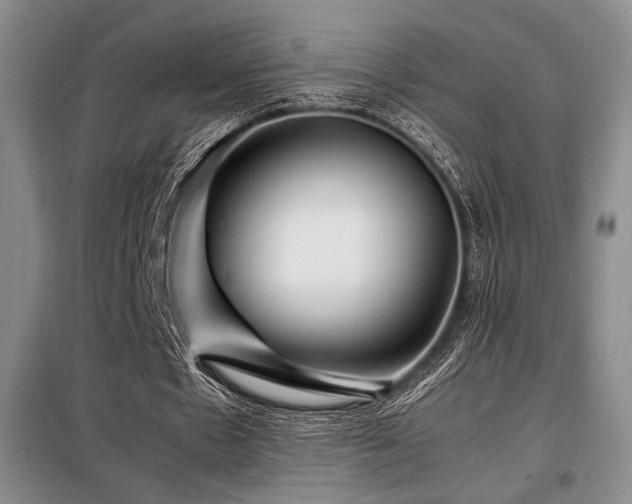 X0000099310481200805021317