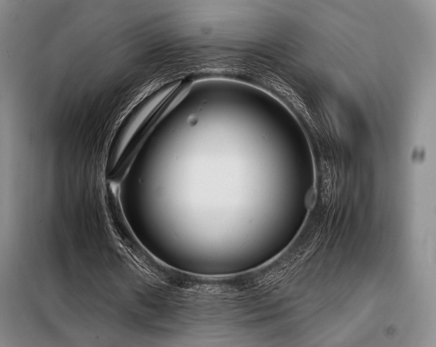 X0000099310482200805021317