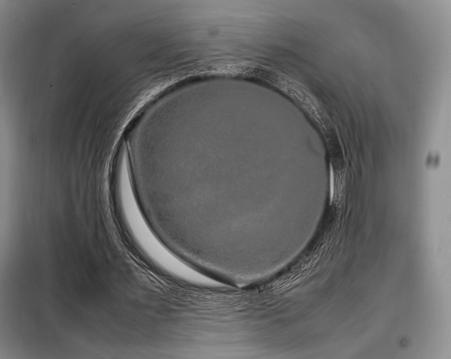 X0000099310483200805021317