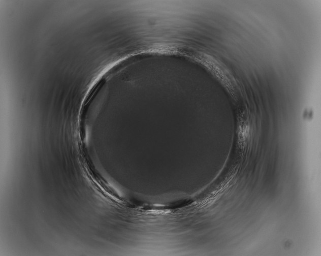 X0000099310484200805021317