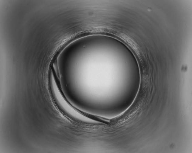 X0000099310485200805021317