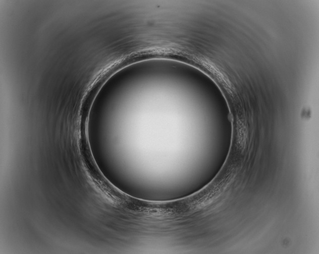 X0000099310486200805021317