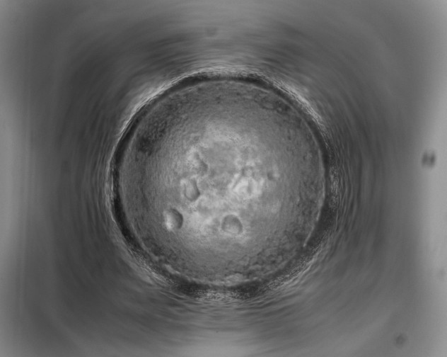 X0000099310487200805021317