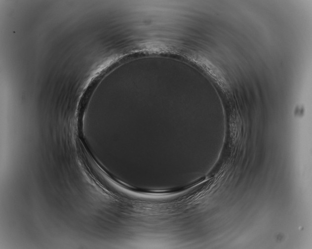 X0000099310488200805021317