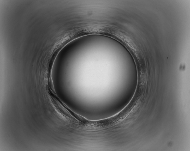 X0000099310489200805021317