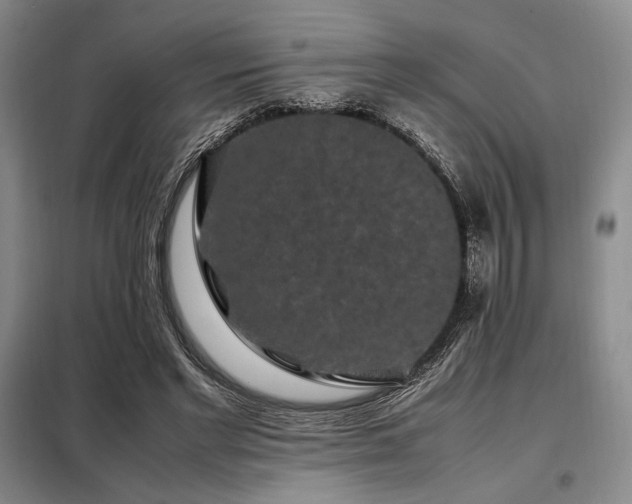 X0000099310493200805021317