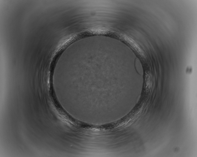 X0000099310494200805021317
