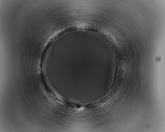 X0000099310496200805021317