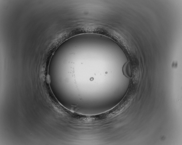 X0000099310497200805021317