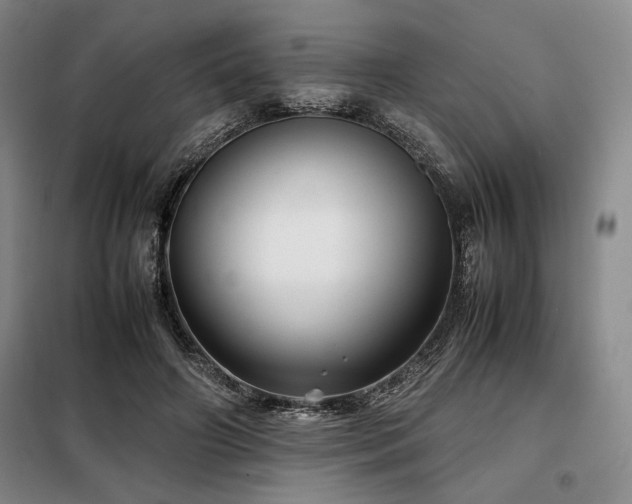 X0000099310498200805021317