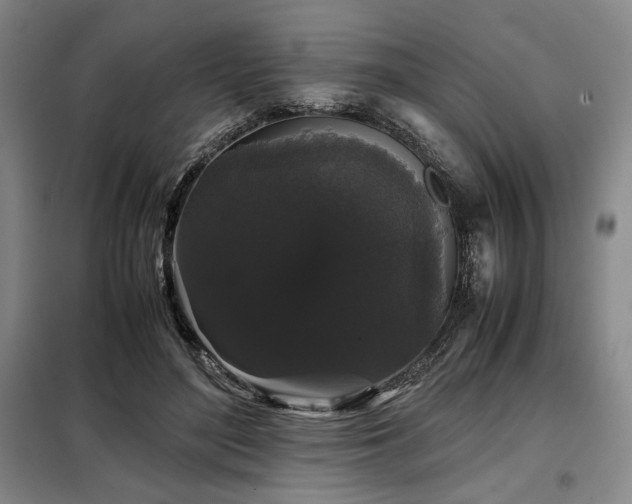 X0000099310500200805021317