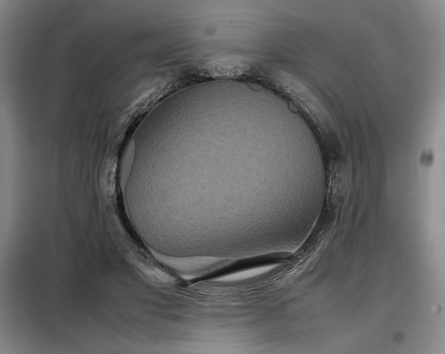 X0000099310501200805021317